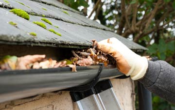 gutter cleaning Lower Cam, Gloucestershire