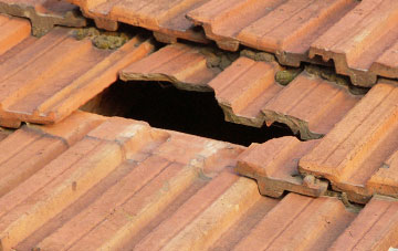 roof repair Lower Cam, Gloucestershire